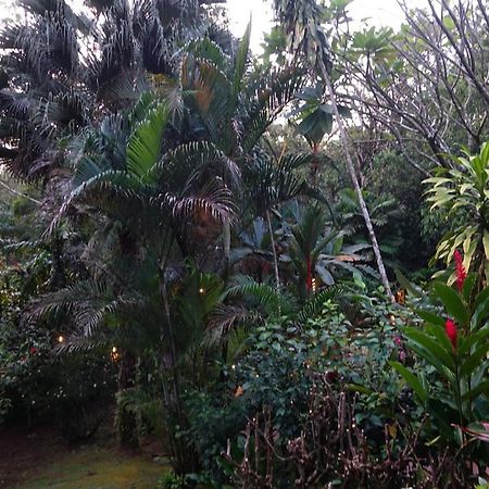 Dos Casitas Villa Ojochal Luaran gambar