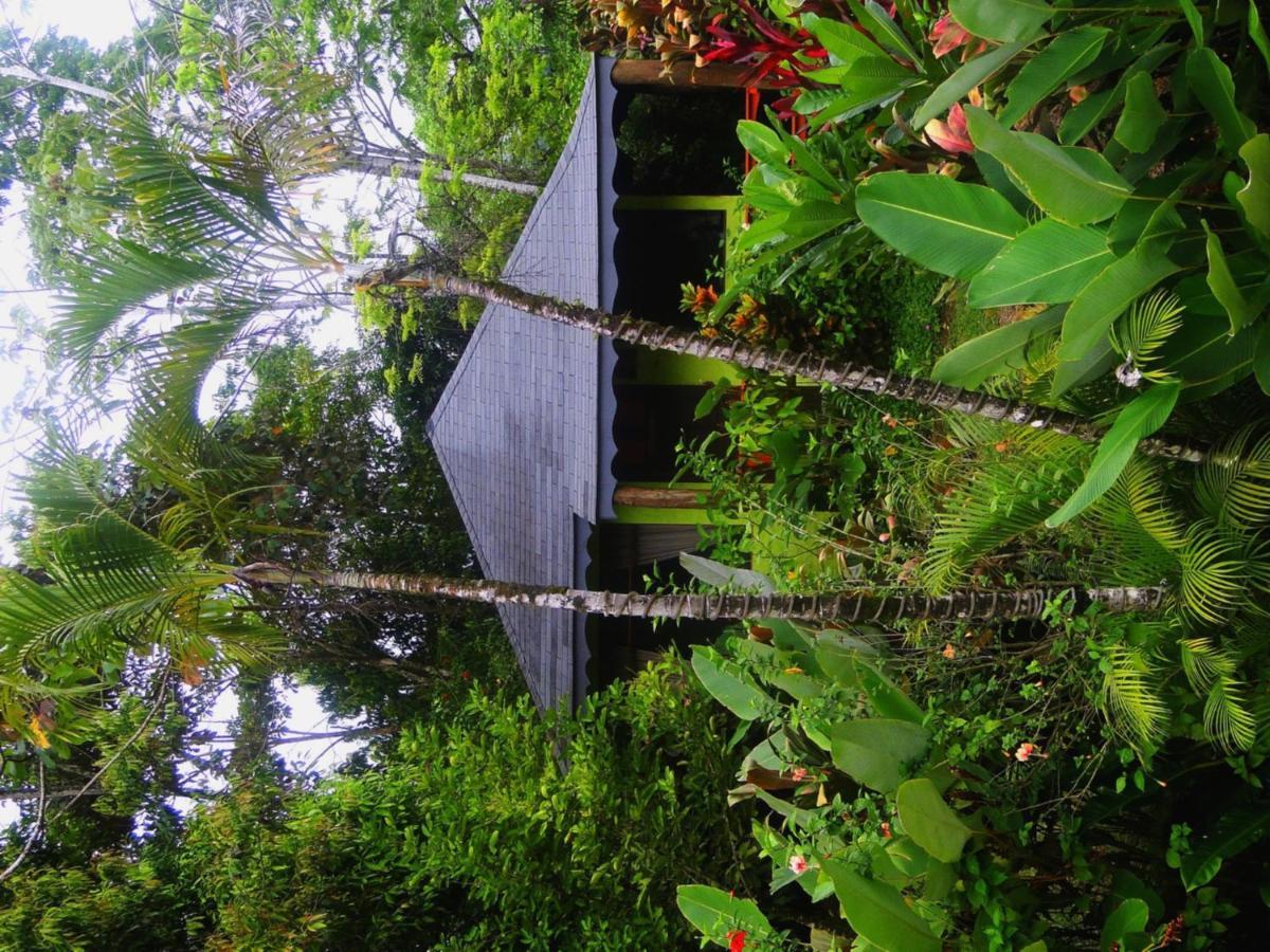 Dos Casitas Villa Ojochal Luaran gambar