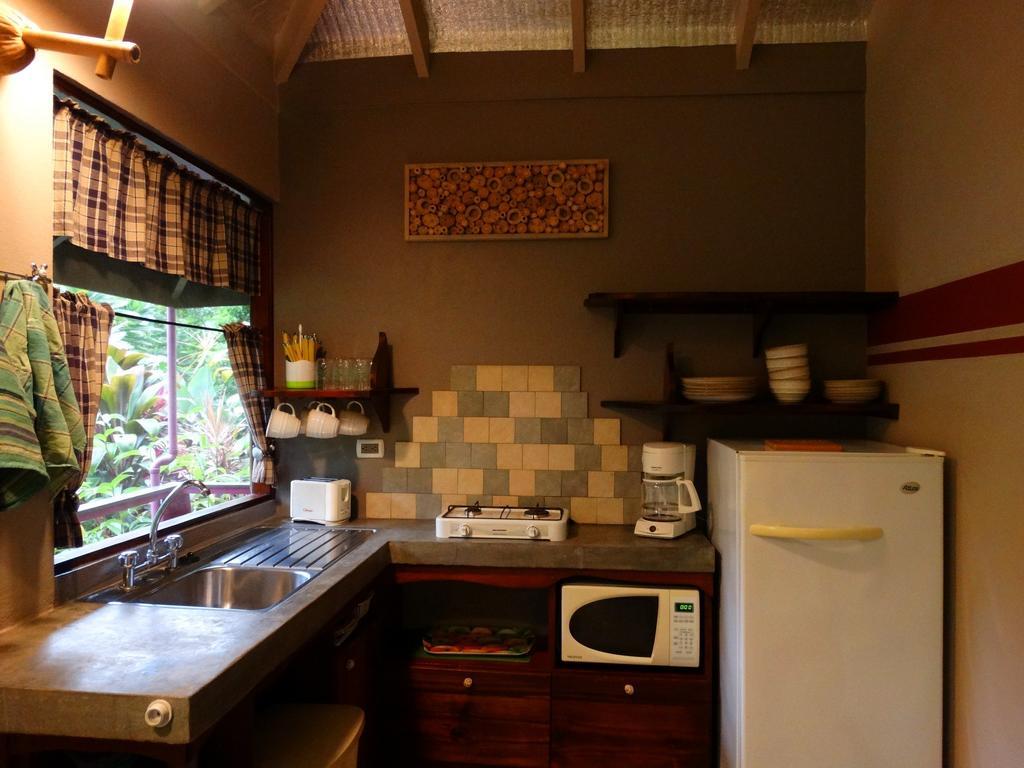 Dos Casitas Villa Ojochal Bilik gambar